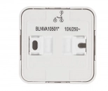 Выключатель двухклавишный Systeme Electric Blanca BLNVA105011