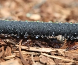 Шланг сочащийся Bradas Aqua-Drop 1/2" 15 м WAD1/2015