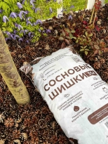 Шишки сосновые 35 л
