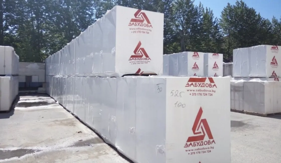 Перемычка газосиликатная ЗАБУДОВА 1100х100x250 мм