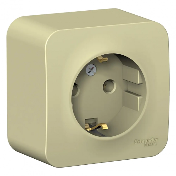 Розетка Systeme Electric Blanca BLNRA010117 с/з