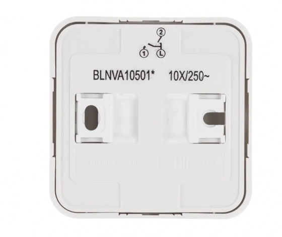 Выключатель двухклавишный Systeme Electric Blanca BLNVA105011