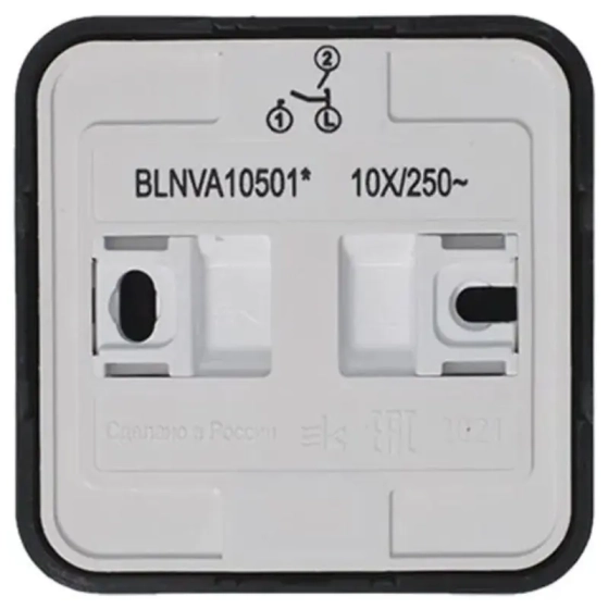 Выключатель двухклавишный Systeme Electric Blanca BLNVA105016