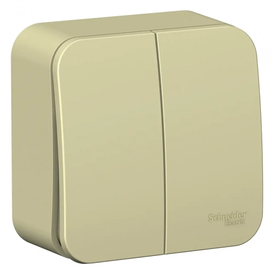 Выключатель двухклавишный Systeme Electric Blanca BLNVA105017