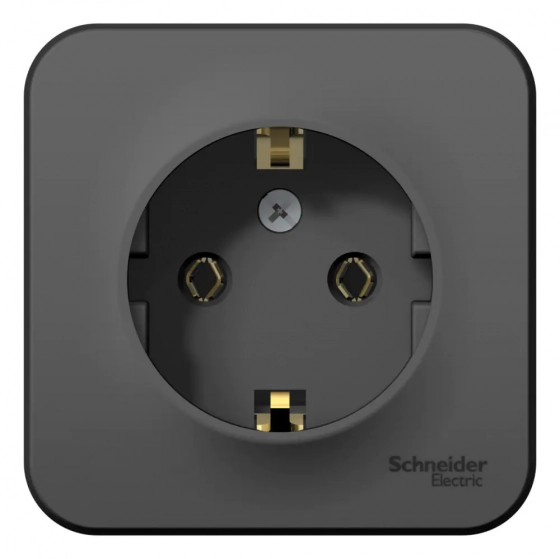 Розетка Systeme Electric Blanca BLNRA010116 с/з