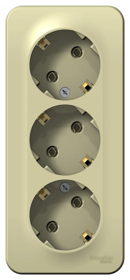 Розетка Systeme Electric Blanca BLNRA010317 с/з