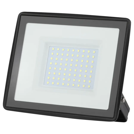 Прожектор светодиодный 100W 6500K ЭРА LPR-023-0-65K-100