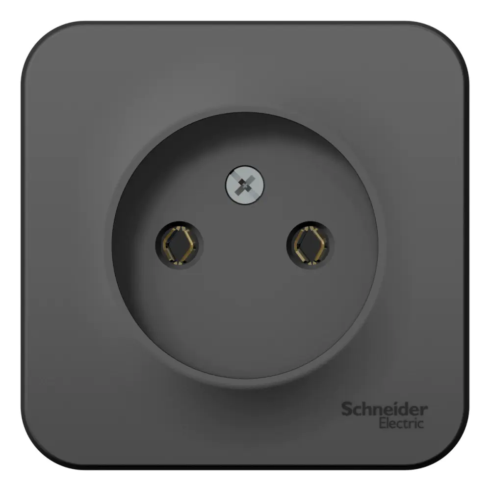 Розетка Systeme Electric Blanca BLNRA000116 б/з